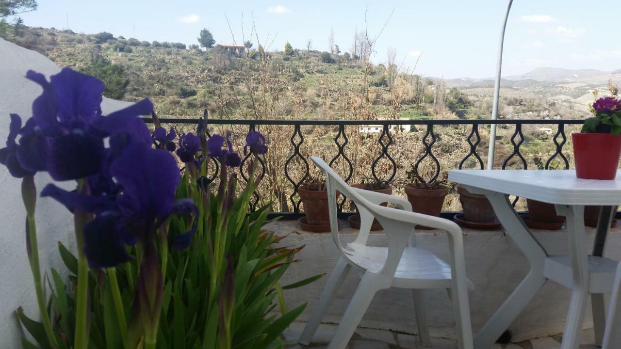La Casa De La Acequia Guest House Seron Bagian luar foto
