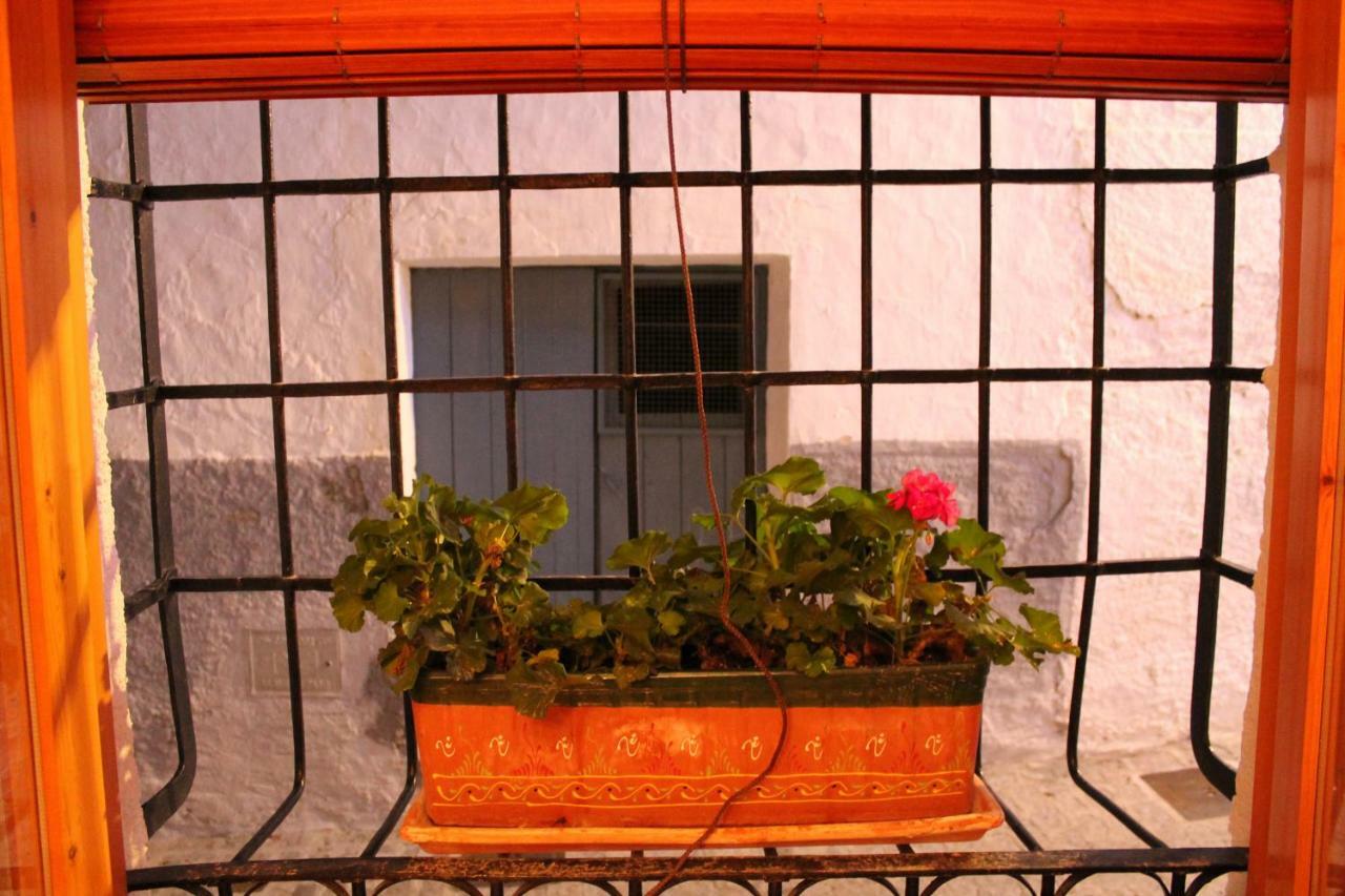La Casa De La Acequia Guest House Seron Bagian luar foto