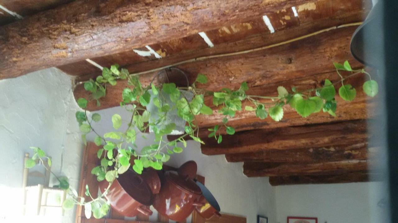 La Casa De La Acequia Guest House Seron Bagian luar foto